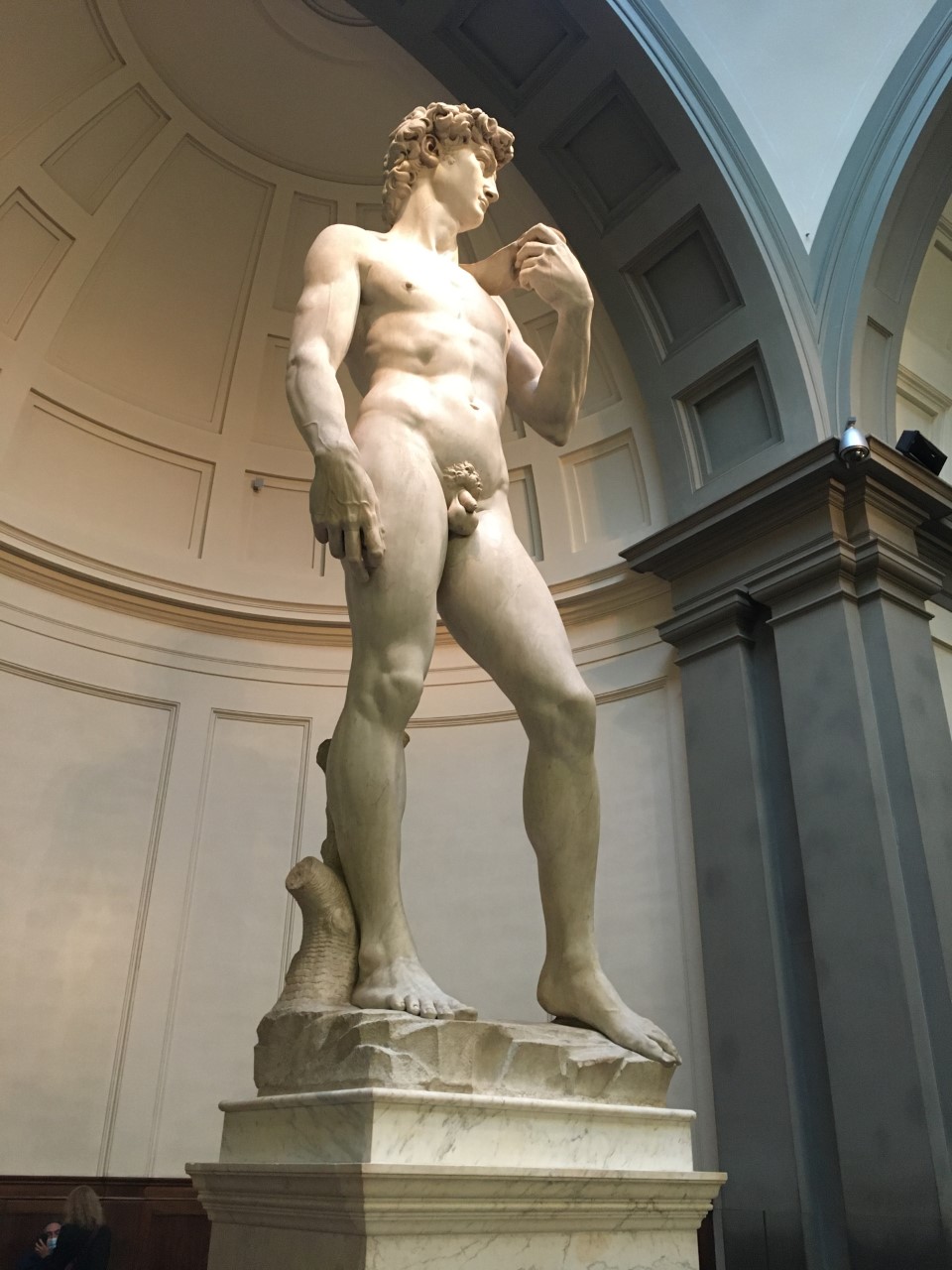 Michelangelo's David